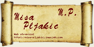 Miša Pljakić vizit kartica